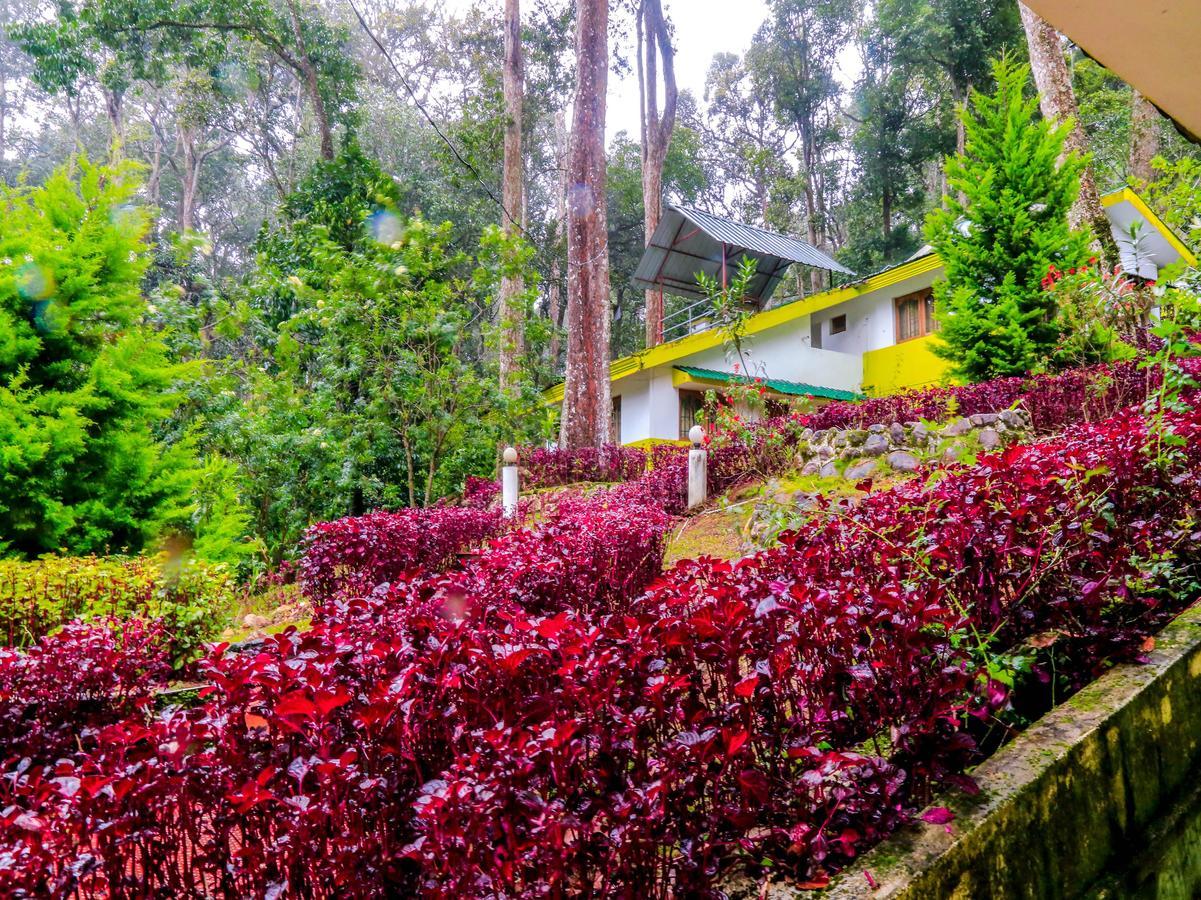Oyo 4651 Woodpecker Resort Munnar Eksteriør billede