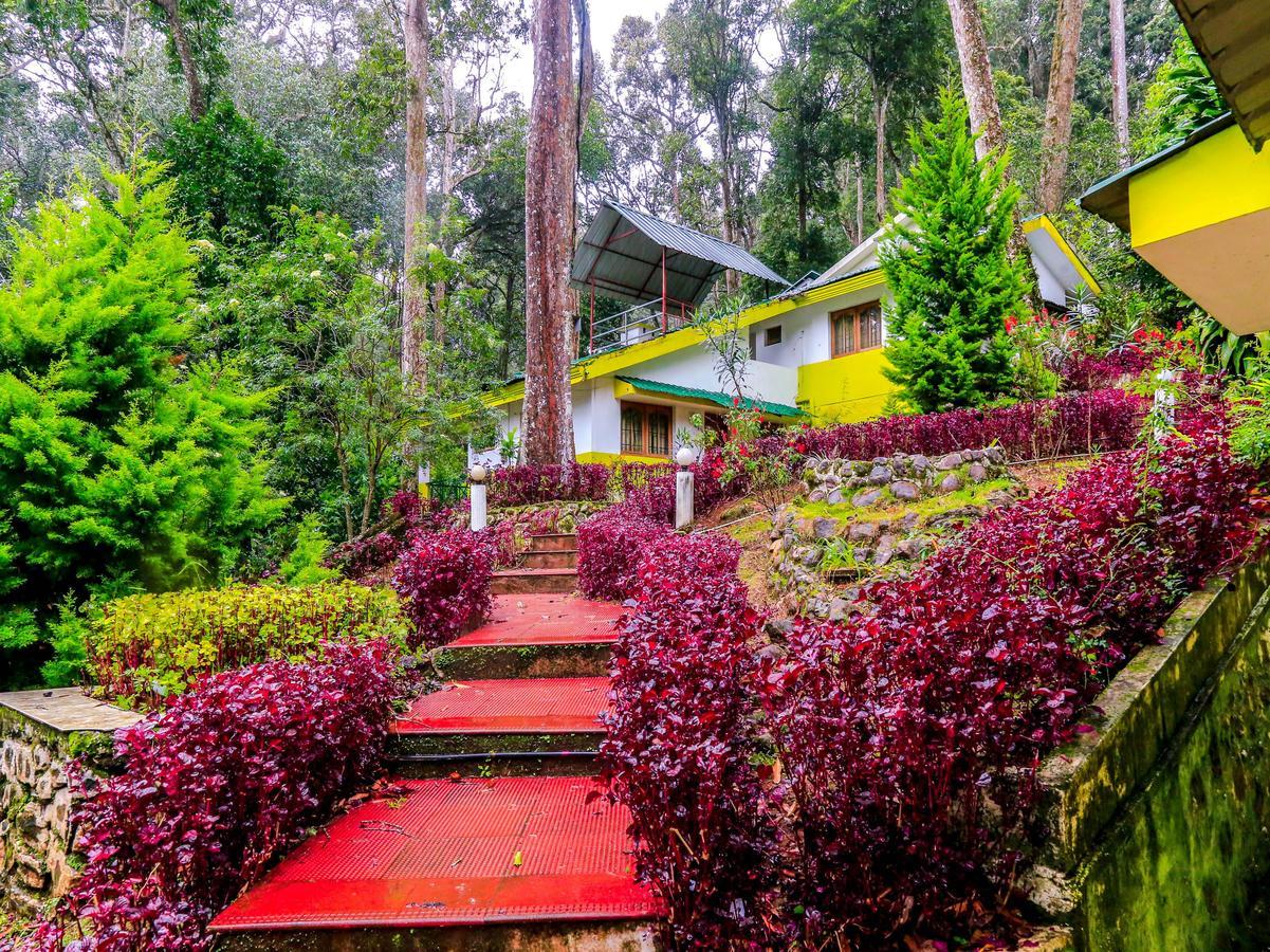 Oyo 4651 Woodpecker Resort Munnar Eksteriør billede